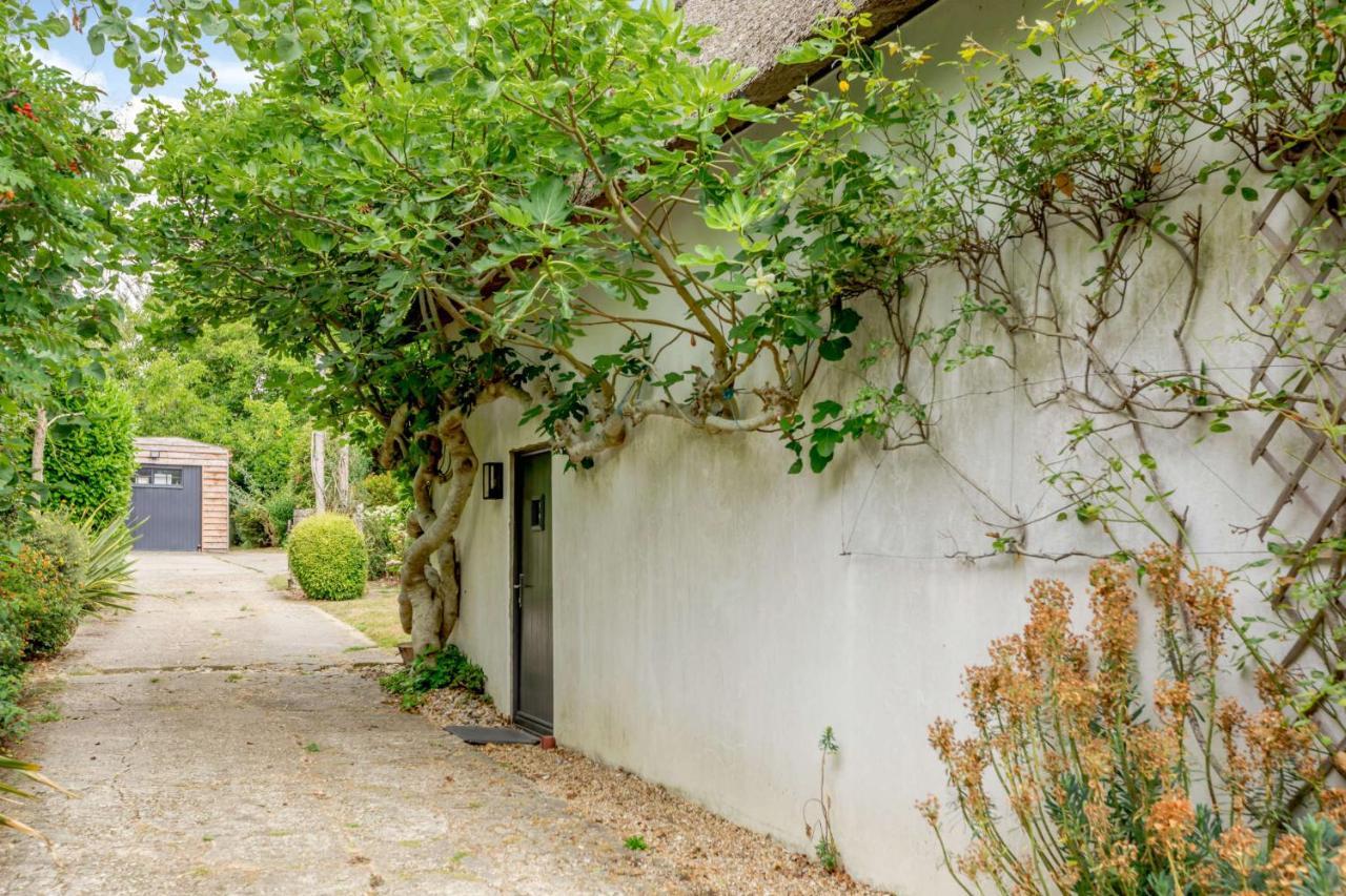 Little Thatch Lovely 2-Bed Converted Workshop Near Weymouth Radipole Exterior photo
